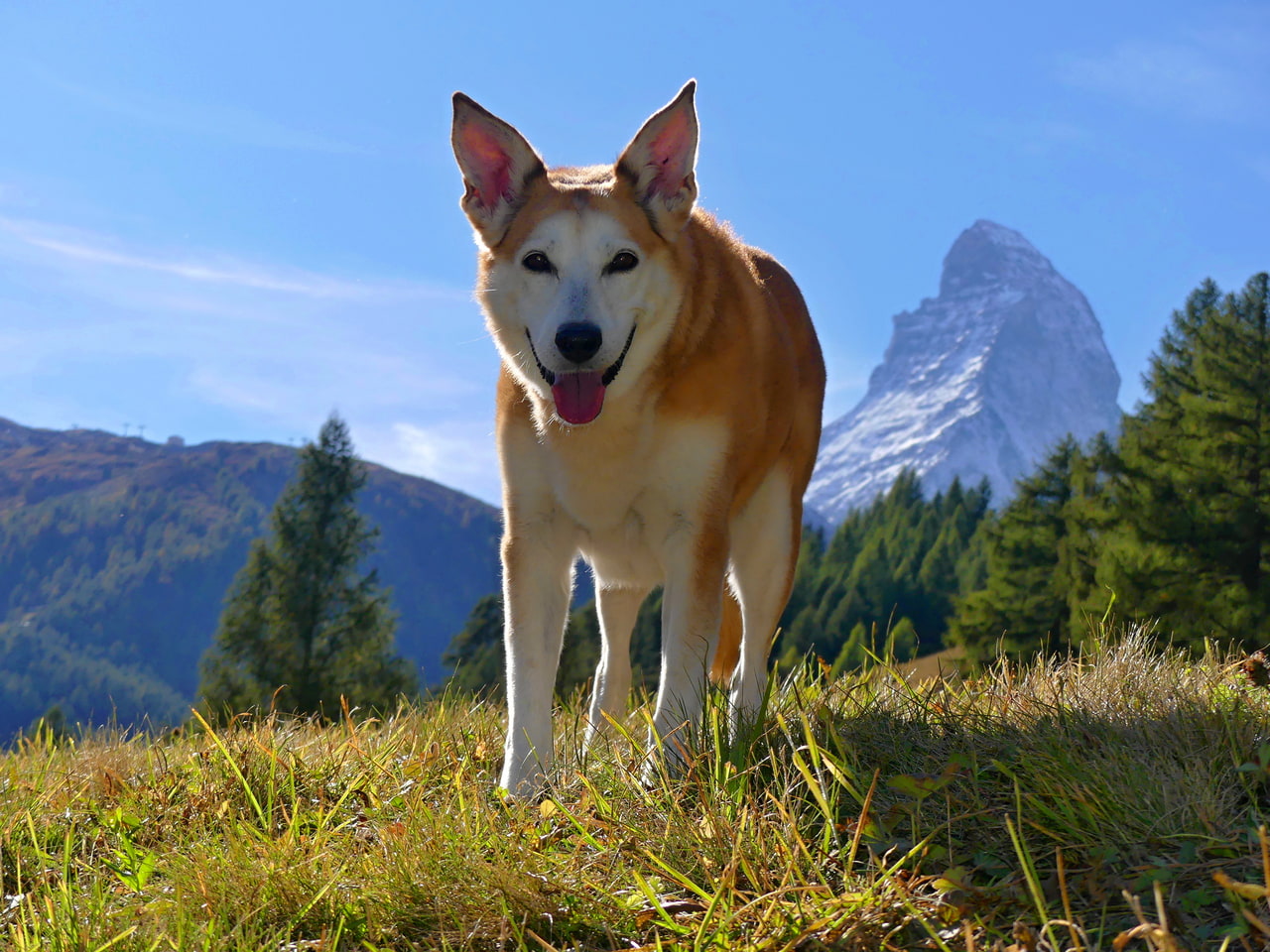 Výnimočná Gora a výnimočná hora - Matterhorn